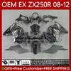 Injektionsform OEM-kropp för Kawasaki Ninja ZX250R ZX 250R ZX250 08-12 Silver Flammor Bodywork 81NO.74 EX250 EX250R 08 09 10 11 12 ZX-250R 2008 2009 2010 2011 2012 FAIRING