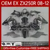 Formy wtryskowe Korpus OEM dla Kawasaki Ninja ZX250R ZX 250R ZX250 08-12 Flames Silver Nadwozie 81NO.74 EX250 EX250R 08 09 10 11 12 ZX-250R 2008 2000 2011 2012