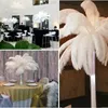 2021 Wholesale 100pcsホワイトダチョウ羽のプルームウェディングセンターピースウェディング装飾パーティーイベントの装飾の装飾の装飾