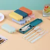 Wheat Straw Tableware Set Portable Folding Tablewares Cutlery Knife Fork Spoon Chopsticks Detachable With Storage Box RRB13166