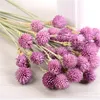 15pcs / lot fraise fruits décoratifs fleurs séchées liaison artificielle fleur non simulée salon ameublement décorer fleur 6 89wx T2