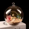 Vaser 6810 cm Clear Glass Ball Globe Shape Terrarium Flower Hanging Planter Container Landscape Ornament Garden Decor2013348