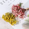 Mini mazzo di fiori secchi Babysbreath decorativo Le piante naturali conservano floreale per la decorazione della casa di nozze