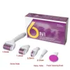 Micro ago Derma Roller Care Kit viso 6 in 1 ICE Micro Needle Derma Roller per la cura della pelle e il trattamento del corpo