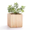 SUN-E 6 en ensemble 3 pouces en céramique motif en bois plante succulente pot de plante de cactus pot de fleur conteneur planteur idée cadeau Y200723