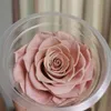 7-8cm / 3 stks, cijfer een bewaard gebleven grote rozenkop, Eternal Rose for Wedding Woondecoratie Accessoires, Glazen deksel Vaas Materialen 210624