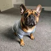 Moda cão roupas designer pet hoodies labrador chihuahua traje outono inverno para médio grande s o rosto moletom 220113