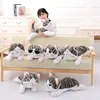 Poupées en peluche gros fromage chat dormir figurine douce maison chats poupée peluche jouet fille cadeau d'anniversaire