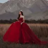 Kırmızı vestidos de xv a os quinceanera elbiseler apliked credibilidad en venta de vestidos de quinceaneras tatlı 16 parti elbisesi210p