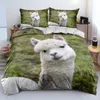 Conjuntos de roupas de cama 3D Luxury Alpaca Duvet Capa Conjunto A/B Consolador de dupla face/Quilt Twin King Size 220x240cm Utral Soft