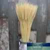 Sticks Of Wheat Natural Decorative Dried Flowers Flower Home Decoration & Living Bouquet Wedding Room V9I4 Wreaths Factory price expert design Quality Latest Style