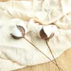 Nordic Dried Cotton Flowers Natural Stems Flower For Home Bar Shop Decoration Wedding 23 Inches