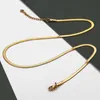 Catene 3mm Collana girocollo color oro per donna Ragazza Catena in acciaio inossidabile a spina di pesce Gioielli femminili Estensione da 16 pollici HDN2238243689