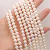 Autres perles d'eau douce naturelles de haute qualité perles de pomme de terre dames bijoux en perles fabrication de cadeaux collier à faire soi-même Bracelet accessoires 7-8mm Wynn22