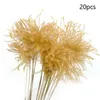 Decoratieve bloemen krans gedroogd riet natuurlijke planten bos kleine pampas gras DIY ambachtelijke bruiloft boeket pografische rekwisieten woondecoratie su