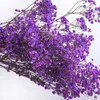 Dekorativa Blommor Kransar Torkad Baby Andlig Naturblomma Branches Office Courtyard Garden Outdoor PoGraphy Props Bröllopsdekorationer