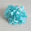 50pcs15 cm hortensia dekorativt siden blommhuvud för bröllopsdekorationer hemtillbehör Partdekoration Hydrangea Rose Wall