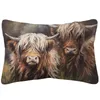 Cuscino/cuscino decorativo Fodere per cuscini Highland Cow Horse Pittura di animali Custodia in lino beige 30X50 cm Decorazione per divano