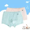 Barn underkläder pojkar trosor 95% bomull Boxer Barn Briefs 2 stycken för pojke Shorts Baby Panties Kids Underkläder 4-16 T 211122