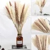 Decorative Flowers & Wreaths 1 Bunch Pampa Real Dried Pampas Grass Fleurs Sechees Reed Phragmites Plants Bouquet For Wedding Party Home Deco