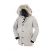 Haut de la qualité Canadian Homme Parka Automne et hiver Down Coat Style Mode Style Down Veste Détachable Collier de fourrure réelle