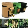 Planters potten tuin zoete aardappel planten tas groeien plant schoonheid boom groei pot