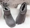 Hot sell Top Classic Women 58541 mini snow boot Brand popular Australia Genuine Leather Boots Fashion Women's Snow Boots