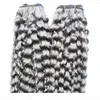 Afro kinky zilveren haarextensies Braziliaans haar weven bundels 200g Braziliaanse kinky krullend maagdelijk haar 2pcs10202302800078