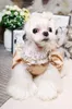 Vêtements pour chiens Robes de luxe haut de gamme Mariage Princesse Banquet Vêtements pour animaux de compagnie Vêtements Automne Printemps Shih Tzu Chihuahua Yorkie Maltese 16D058