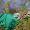 ProStormer Garden Scissor Cutter Pruning Grafting Tool Fruit Garden Scissorsカッタープラークツール農作物塗装移植片Pruner 210719