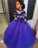 Luxury Royal Blue Plus Size Little Girls Pageant Dresses Long Sleeves Crystal Beaded High Neck Kids Prom Dress Tiered Tulle Birthday Party Gowns Custom Made