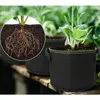 Planters POTS DOPHEE 7-30 gallon Big Grow Påsar filt Bag Gardening Fabric Pot Grönsak Växande Planter Garden Flower Planting