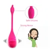 Drahtloser APP-Fernbedienungs-Dildo-Vibrator für Frauen, tragbares Höschen für Paare, vibrierende Vaginalball-Produkte Q0602270B