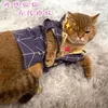 Pet Creative Le bizzarre avventure di JoJo COS PASSIONE Prosciutto Cat Dog Forniture Abbigliamento Dress Up Puppy Cosplay Outfit