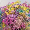 Decorative Flowers & Wreaths Natural Dried Gypsophila Baby's Breath Bouquet Shooting Props Ornaments Wedding Decoration Home Decor