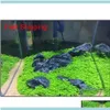 その他の調査結果コンポーネントジュエリー卸売ガーデン魚タンク水族館種子水生水草の観賞用プラントホームヤードデコラドロップデル