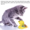 Nicrew Windmill Toys for Cats Puzzle Whirling Turntable с Brush Cat Play Game Toys Kitten Interactive Toys Pet Supplies T200720