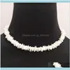 Kettingen hangers sieradenwit witte schaal onregelmatige grind chips kralen choker ketting voor vrouwen feest bruiloft geschenken zomer sieraden co