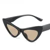 Sonnenbrille 2021 Kleiner Rahmen Frauen Mode Katze Eye Sonnenbrille Männer Retro Marke Design Wild Street Eyewear UV400