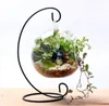 Spiral Bottom Ornament Display Stand senza Vasi Iron Appeso Portabicchiere per Plant Christmas Candlestick Home Decorazione di nozze WLL137