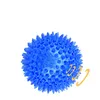 Animal de compagnie Squeaky mâchonnez balle soft stab dog toys chiot drôle de mâtoir interactif jouet tpr pour chiens résistants à la morsure de nettoyage des dents d'entraînement en caoutchouc