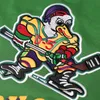 Mens 96 Charlie Conway 1996-06 Mighty Duck Movie Hockey Jersey 33 Greg Goldberg 99 Adam Banks Anaheim Duck Ijshockey Jerseys Groen Wit S-XXXL Op voorraad Snelle verzending