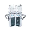 H2O2 6 in 1皮膚誘発ディープクリア酸素スプレーバイオリフトスクラバーAqua Peeling Hydro Machine7845864