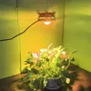 LED Grow Light 2000w Indoor Plants COB Full Spectrum Plant Lights Growth Lamp Tent Box Lampor för Home Planting Blommor