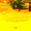Klipy do włosów Barrettes Moda ślubna księżniczka Tiaras Kobiety Dziewczyny Butterfly Light Luksusowe opaski koronowe Cyrkonia Ślubne Headpieces Żyd