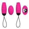 NXY Vibromasseur Vibromasseur Télécommande Bullet Usb Charge Vibration Sex Toy pour Femme 0104