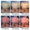 Nieuwigheid Feather Night Light DIY Koper Fairy String Tafel Verlichting Lamp Batterij USB met Afstandsbediening voor Home Woonkamer Slaapkamer Party Decor