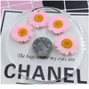 Chrysanthemum Paludosum Real Dried Flower Dry Plants For Candle Epoxy Resin Pendant Necklace Jewelry Making Craft Diy A jllWeU