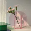 Vaso acrílico colorido vaso transparente vaso moda mesa mesa plantas caixa casa escritório desktop flor vaso 210623
