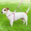 犬の襟のLeashes Harness Leashセットウォーキングとトレーニングペット調節可能なリードストラップは取り外し可能なスナックバッグ